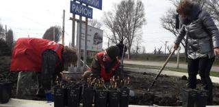 Південний район міста приводять до ладу
